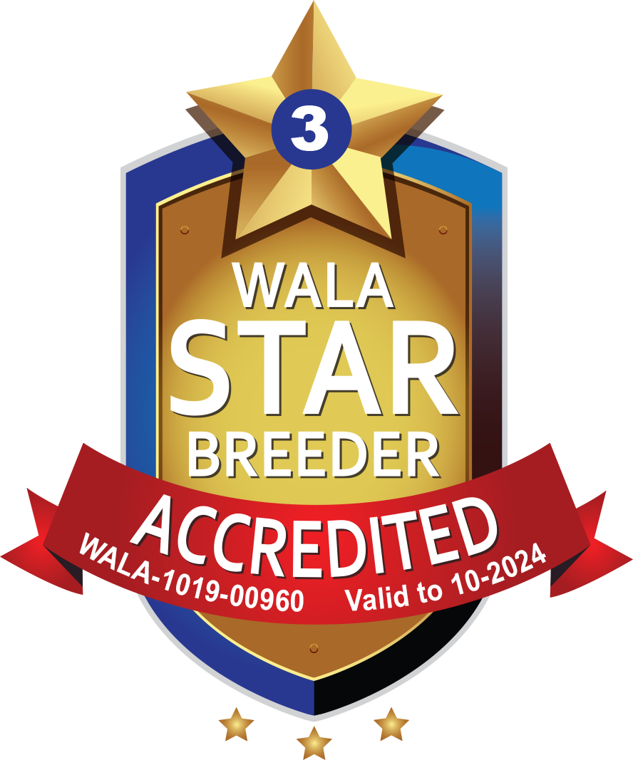 WALA Accredited