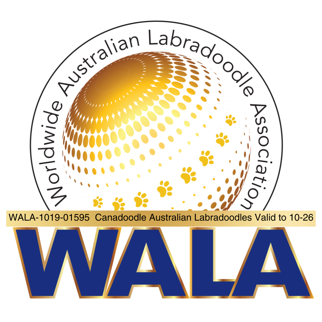 Worldwide Austrailian Labradoodle Association - Canadoodle Membership Badge