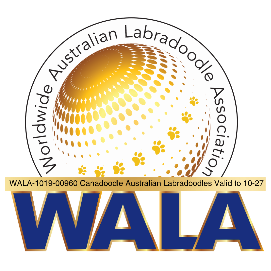 Worldwide Austrailian Labradoodle Association - Canadoodle Membership Badge